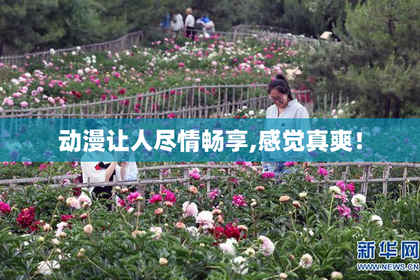 动漫让人尽情畅享,感觉真爽！