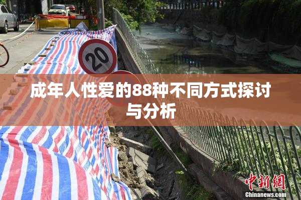 成年人性爱的88种不同方式探讨与分析