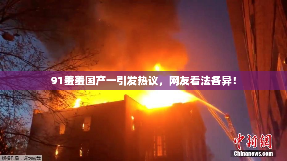 91羞羞国产一引发热议，网友看法各异！