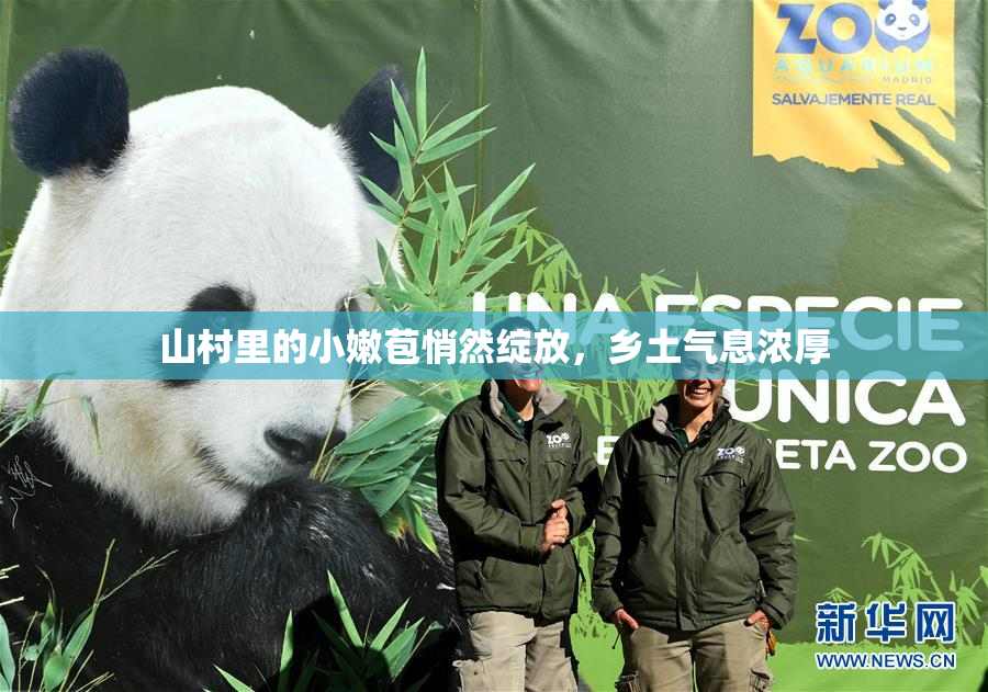 山村里的小嫩苞悄然绽放，乡土气息浓厚