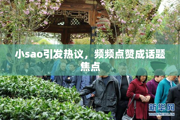 小sao引发热议，频频点赞成话题焦点