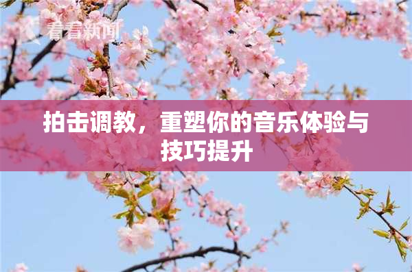 拍击调教，重塑你的音乐体验与技巧提升