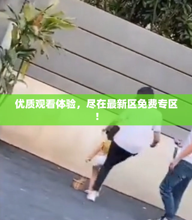 优质观看体验，尽在最新区免费专区！