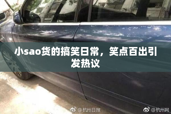小sao货的搞笑日常，笑点百出引发热议