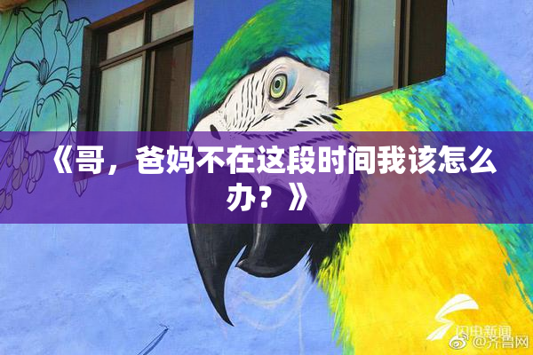 《哥，爸妈不在这段时间我该怎么办？》
