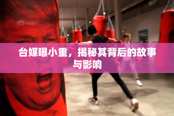 台媒曝小重，揭秘其背后的故事与影响