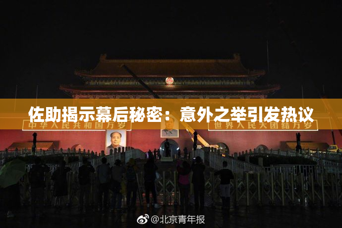 佐助揭示幕后秘密：意外之举引发热议