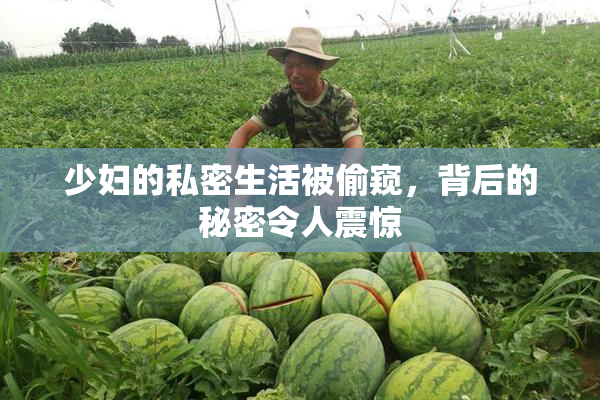 少妇的私密生活被偷窥，背后的秘密令人震惊