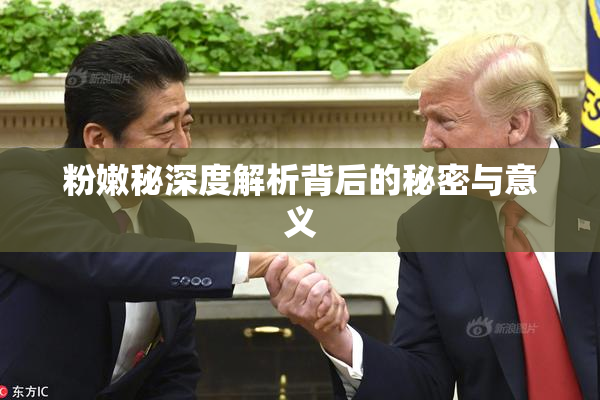 粉嫩秘深度解析背后的秘密与意义