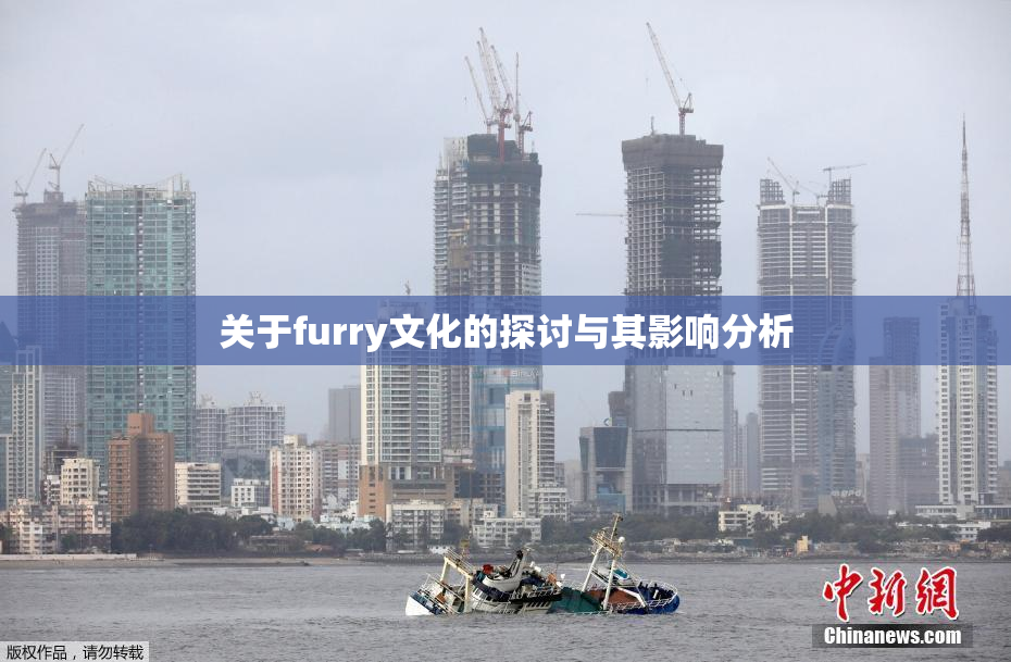 关于furry文化的探讨与其影响分析