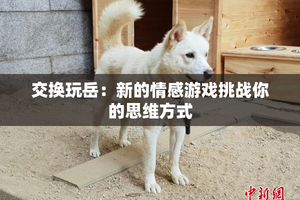 交换玩岳：新的情感游戏挑战你的思维方式