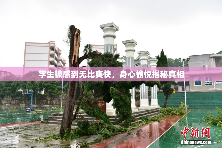 学生被感到无比爽快，身心愉悦揭秘真相