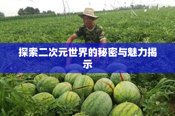 探索二次元世界的秘密与魅力揭示
