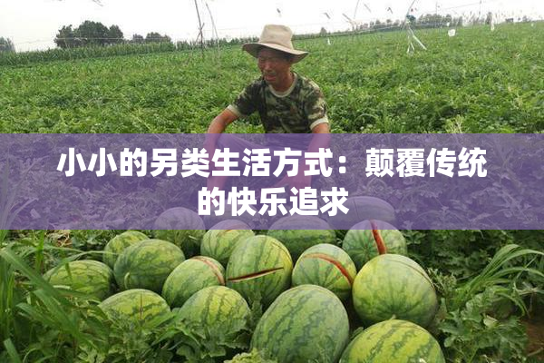 小小的另类生活方式：颠覆传统的快乐追求