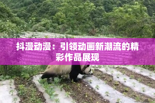 抖漫动漫：引领动画新潮流的精彩作品展现