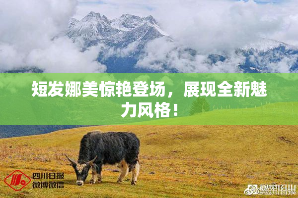 短发娜美惊艳登场，展现全新魅力风格！