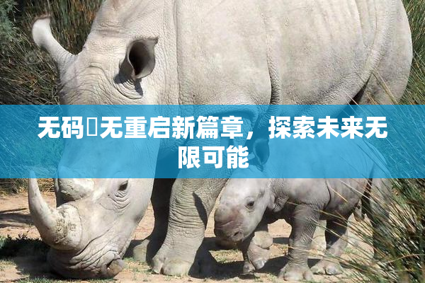 无码囯无重启新篇章，探索未来无限可能