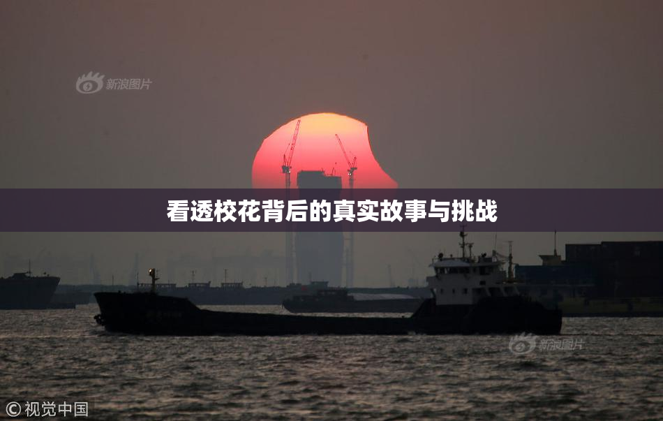 看透校花背后的真实故事与挑战