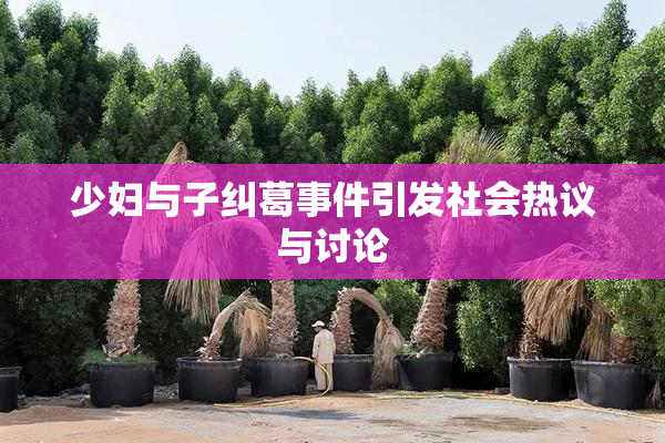 少妇与子纠葛事件引发社会热议与讨论