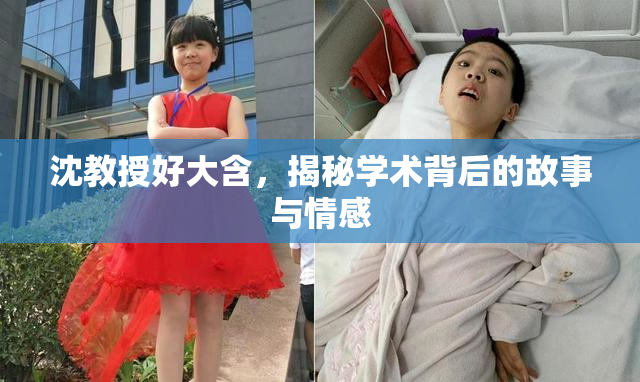 沈教授好大含，揭秘学术背后的故事与情感
