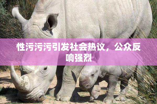 性污污污引发社会热议，公众反响强烈