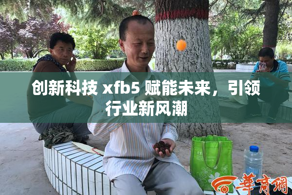 创新科技 xfb5 赋能未来，引领行业新风潮