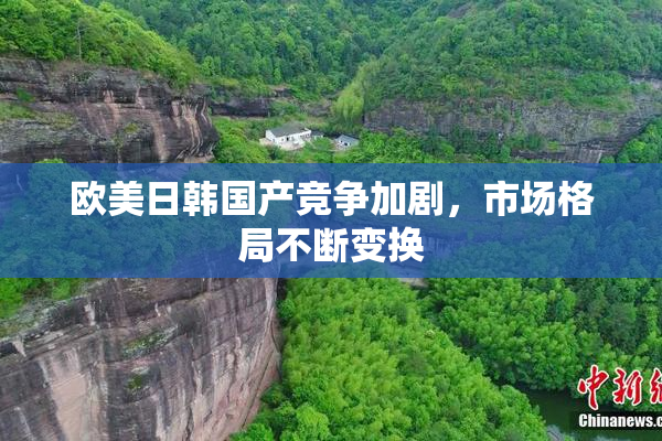欧美日韩国产竞争加剧，市场格局不断变换