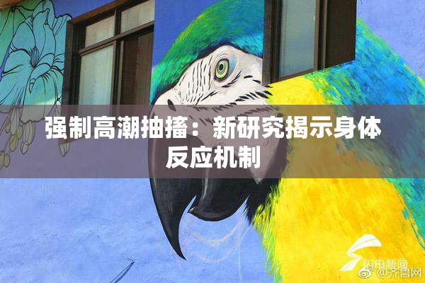 强制高潮抽搐：新研究揭示身体反应机制