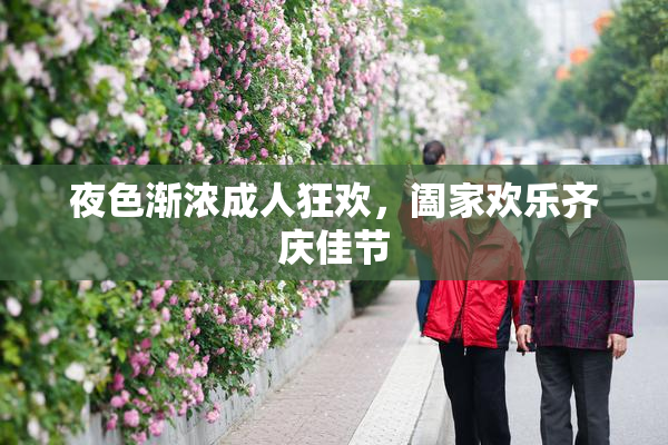 夜色渐浓成人狂欢，阖家欢乐齐庆佳节