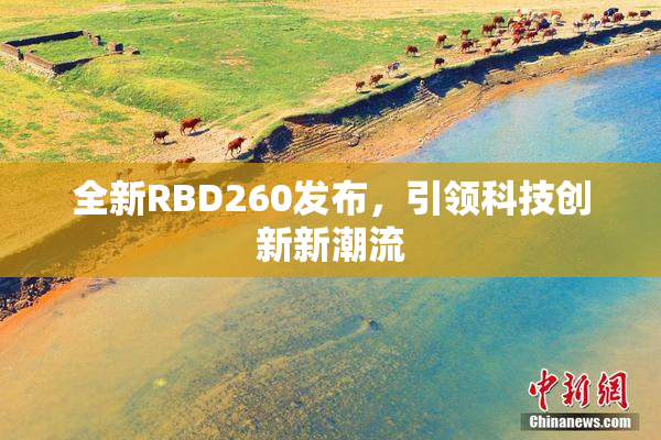 全新RBD260发布，引领科技创新新潮流