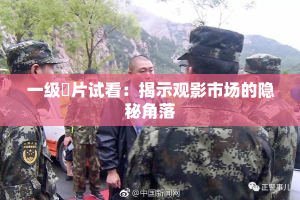 一级婬片试看：揭示观影市场的隐秘角落