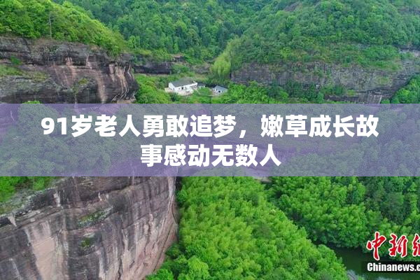 91岁老人勇敢追梦，嫩草成长故事感动无数人