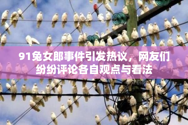 91兔女郎事件引发热议，网友们纷纷评论各自观点与看法