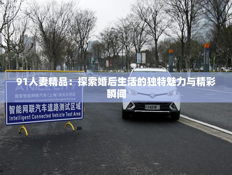 91人妻精品：探索婚后生活的独特魅力与精彩瞬间