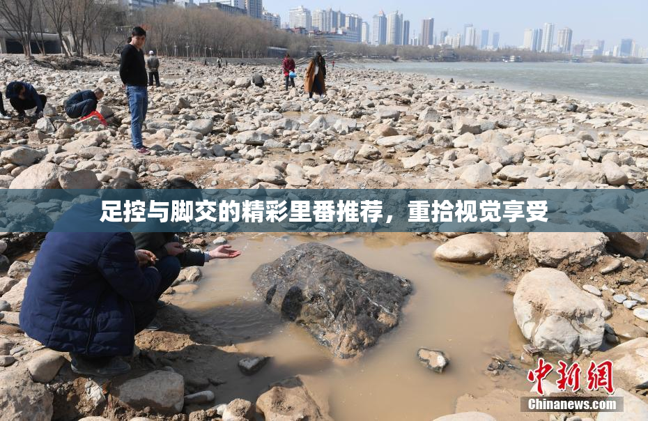 足控与脚交的精彩里番推荐，重拾视觉享受