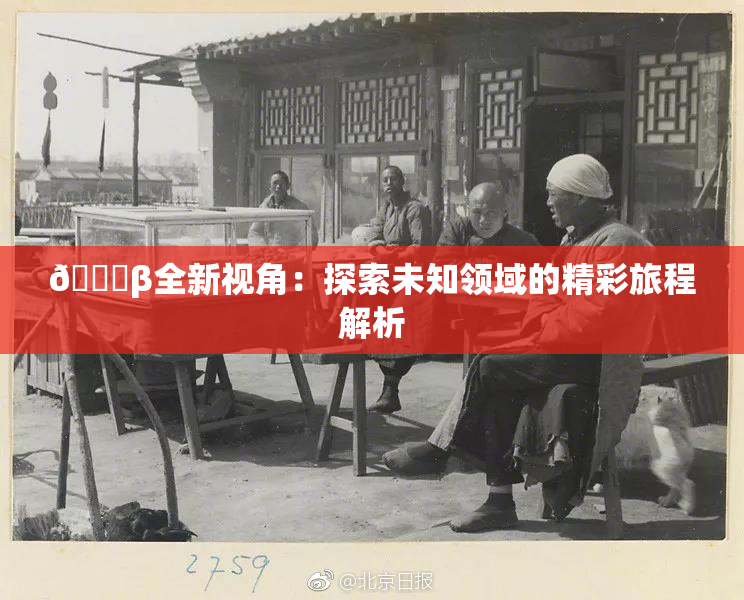 👙β全新视角：探索未知领域的精彩旅程解析