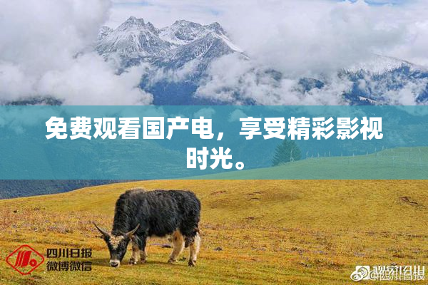 免费观看国产电，享受精彩影视时光。