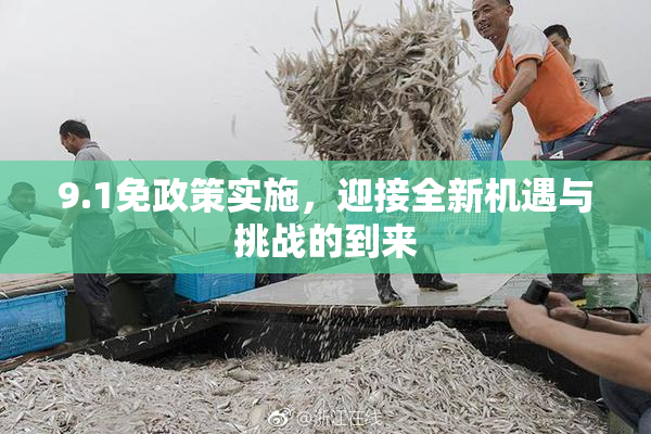 9.1免政策实施，迎接全新机遇与挑战的到来