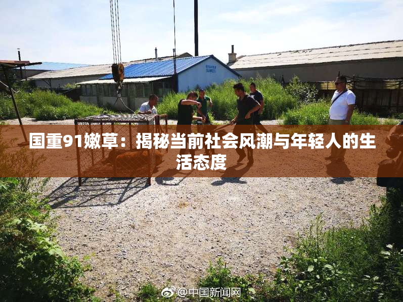 国重91嫩草：揭秘当前社会风潮与年轻人的生活态度