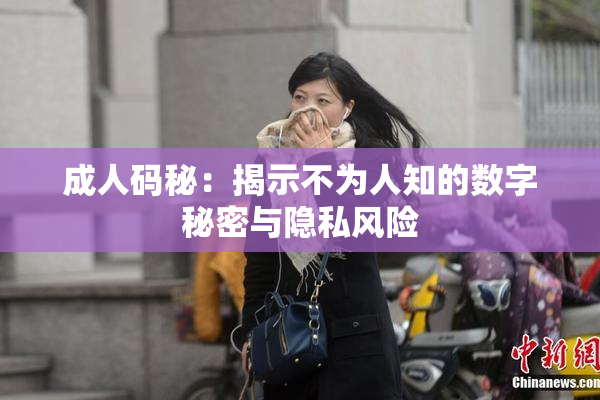 成人码秘：揭示不为人知的数字秘密与隐私风险