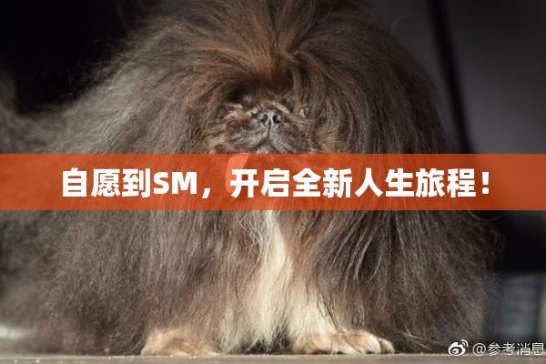 自愿到SM，开启全新人生旅程！