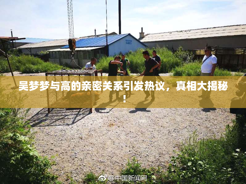 吴梦梦与高的亲密关系引发热议，真相大揭秘！