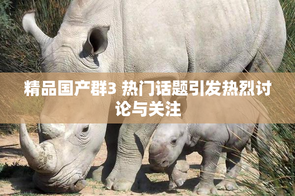 精品国产群3 热门话题引发热烈讨论与关注
