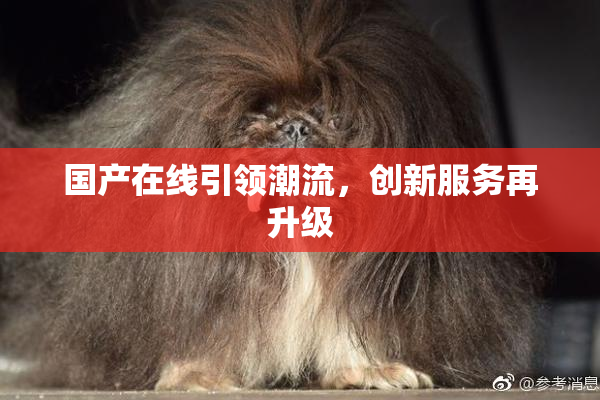 国产在线引领潮流，创新服务再升级