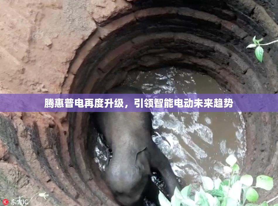 腾惠普电再度升级，引领智能电动未来趋势