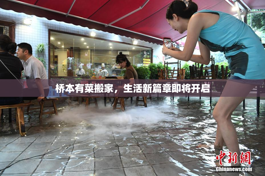 桥本有菜搬家，生活新篇章即将开启