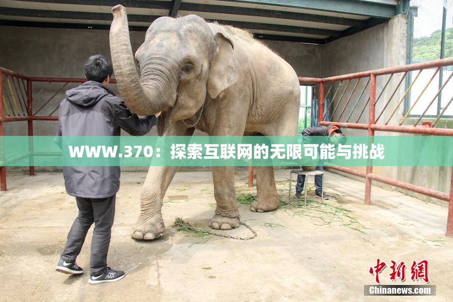 WWW.370：探索互联网的无限可能与挑战