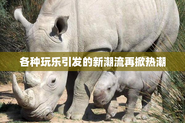 各种玩乐引发的新潮流再掀热潮