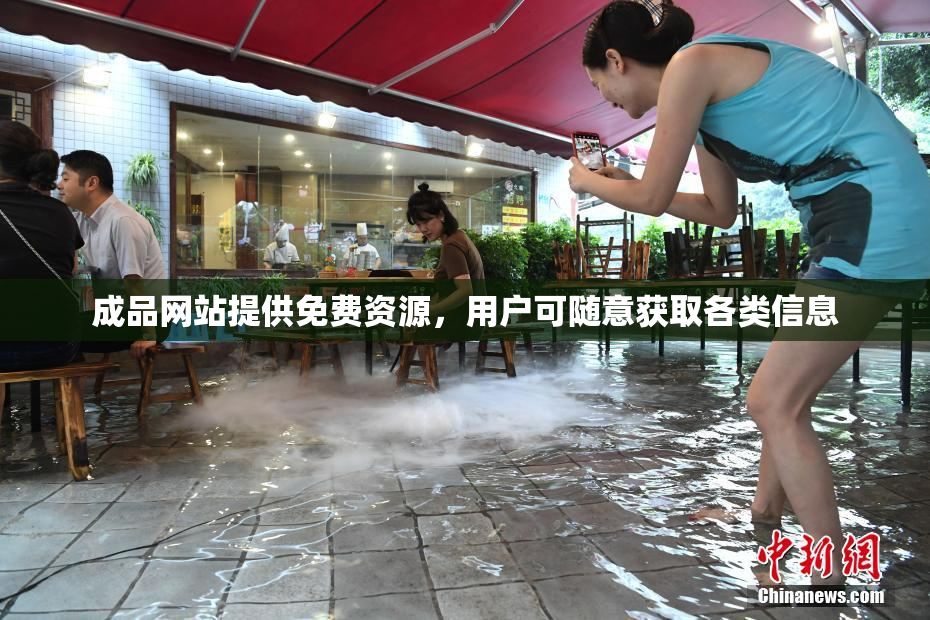 成品网站提供免费资源，用户可随意获取各类信息
