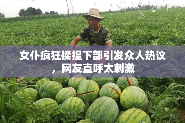 女仆疯狂揉捏下部引发众人热议，网友直呼太刺激